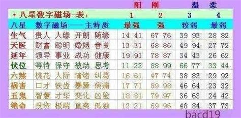 數字能量學|彩虹數字學會